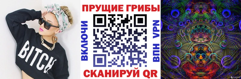 Галлюциногенные грибы мицелий  где продают наркотики  Вилючинск 